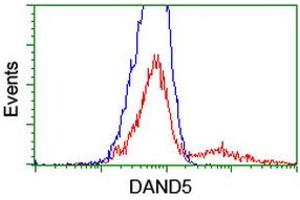 HEK293T cells transfected with either RC221703 overexpress plasmid (Red) or empty vector control plasmid (Blue) were immunostained by anti-DAND5 antibody (ABIN2455031), and then analyzed by flow cytometry. (DAND5 Antikörper  (AA 23-189))