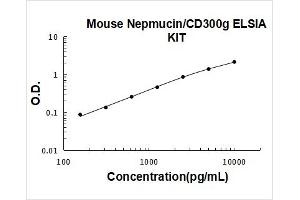 Triggering Receptor Expressed On Myeloid Cells 4 (TREM4) ELISA Kit