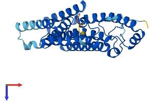ICMT Protein (AA 1-284) (His tag)
