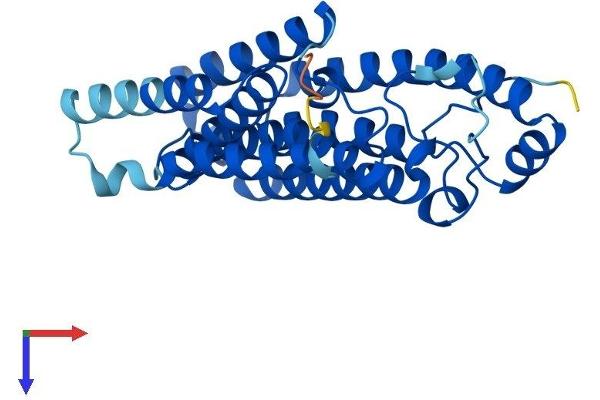 ICMT Protein (AA 1-284) (His tag)