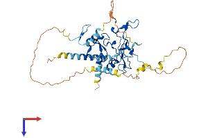 DPF3 Protein (AA 1-378) (His tag)