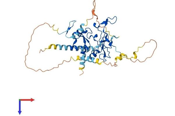 DPF3 Protein (AA 1-378) (His tag)