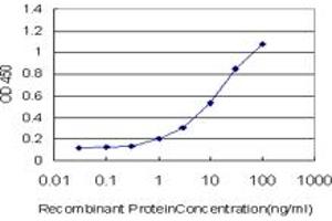 Detection limit for recombinant GST tagged RNF122 is approximately 1ng/ml as a capture antibody. (RNF122 Antikörper  (AA 61-155))
