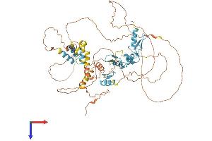 HIC2 Protein (AA 1-619) (His tag)