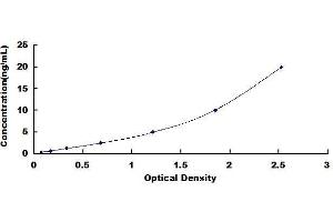 Typical standard curve (ALIX ELISA Kit)