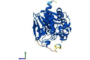 Protein Structure (PS) image for Protein Phosphatase 2, Catalytic Subunit, alpha Isozyme (PPP2CA) (AA 1-309) protein (His tag) (ABIN7556655)
