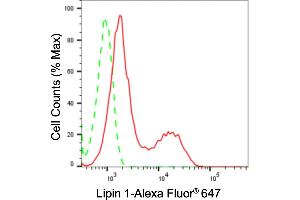 Flow cytometric analysis of Lipin 1 expression in HepG2 cells using Lipin 1 antibody (ABIN7799276), 1:2,000). (Rekombinanter Lipin 1 Antikörper)