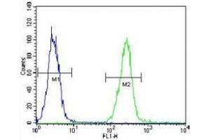 Flow Cytometry (FACS) image for anti-Alanyl-tRNA Synthetase 2, Mitochondrial (AARS2) (AA 366-394) antibody (ABIN3028457)