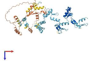 ZNF426 Protein (AA 1-554) (His tag)