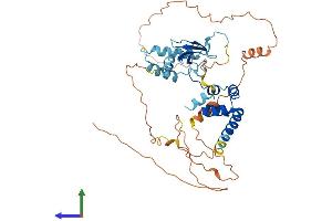 Protein Structure (PS) image for F-Box Protein 5 (FBXO5) (AA 1-421) protein (His tag) (ABIN7558292)