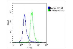 Flow Cytometry (FACS) image for anti-AlkB, Alkylation Repair Homolog 5 (ALKBH5) (AA 302-330) antibody (ABIN1538275)
