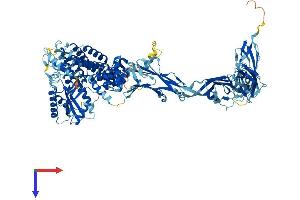 TRAPPC11 Protein (AA 1-1133) (His tag)