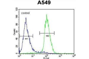 anti-Chromosome 1 Open Reading Frame 51 (C1orf51) (AA 25-55), (N-Term) antibody