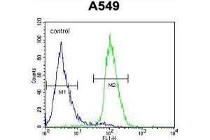 C1orf51 Antibody (N-term) flow cytometric analysis of A549 cells (right histogram) compared to a negative control cell (left histogram). (C1orf51 Antikörper  (N-Term))