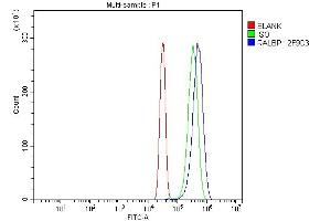 Flow Cytometry analysis of SiHa cells using anti-RALBP1 antibody (ABIN7600800). (RALBP1 Antikörper  (AA 239-506))