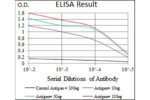 ELISA image for anti-Chromosome 17 Open Reading Frame 53 (C17ORF53) (AA 282-527) antibody (ABIN1842990) (C17orf53 Antikörper  (AA 282-527))