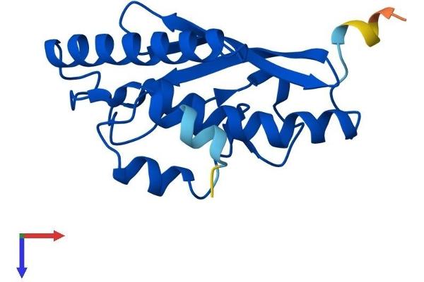 UFC1 Protein (AA 1-167) (His tag)