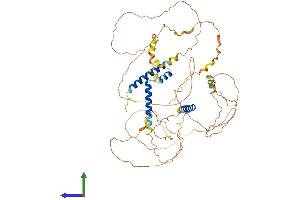 Protein Structure (PS) image for SLAIN Motif Family, Member 2 (SLAIN2) (AA 1-581) protein (His tag) (ABIN7559356)