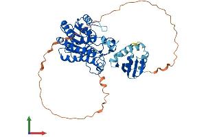 Protein Structure (PS) image for Hydroxysteroid Dehydrogenase Like 2 (HSDL2) (AA 1-490) protein (His tag) (ABIN7557011)