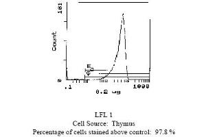 Mouse anti CD90 (Thy-1. (CD90 Antikörper  (Biotin))