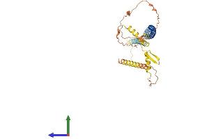 Protein Structure (PS) image for Coiled-Coil Domain Containing 54 (CCDC54) (AA 1-328) protein (His tag) (ABIN7552938)