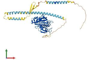 Protein Structure (PS) image for Fibrinogen C Domain Containing 1 (FIBCD1) (AA 1-461) protein (His tag) (ABIN7547693)