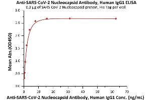 Immobilized SARS-CoV-2 Nucleocapsid protein, His Tag (Cat. (SARS-CoV-2 Nucleocapsid Antikörper)