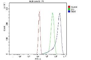 Flow Cytometry analysis of U20S cells using anti-SNX5 antibody (ABIN7601910).