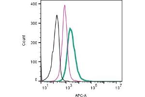 Cell surface detection of β1-Adrenergic Receptor by direct flow cytometry in live intact human  monocytic leukemia cells: + Rabbit IgG isotype control-APC (ABIN7582043).