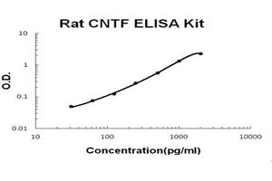 Rat CNTF Accusignal ELISA Kit Rat CNTF AccuSignal Elisa Kit standard curve.