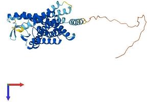 Hydroxycarboxylic Acid Receptor 2 (HCAR2) (AA 1-360) protein (His tag)