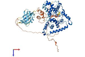 TBC1D17 Protein (AA 1-648) (His tag)