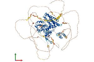 Cbl Proto-Oncogene B, E3 Ubiquitin Protein Ligase (CBLB) (AA 1-982) protein (His tag)