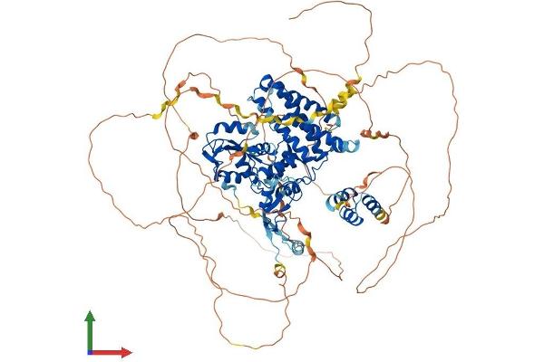Cbl Proto-Oncogene B, E3 Ubiquitin Protein Ligase (CBLB) (AA 1-982) protein (His tag)