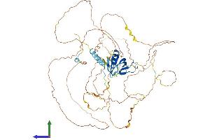 Protein Structure (PS) image for GRB2-Associated Binding Protein 2 (GAB2) (AA 1-665) protein (His tag) (ABIN7565282)