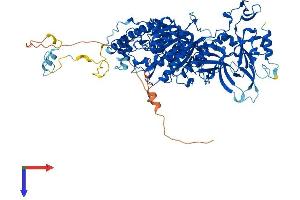 CMTR1 Protein (AA 1-835) (His tag)