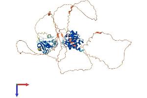 DUSP8 Protein (AA 1-663) (His tag)