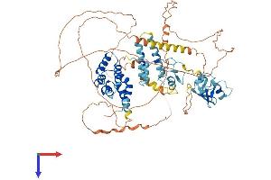 SP110 Protein (AA 1-689) (His tag)