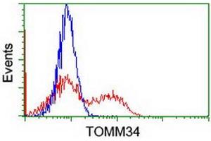 HEK293T cells transfected with either RC201083 overexpress plasmid (Red) or empty vector control plasmid (Blue) were immunostained by anti-TOMM34 antibody (ABIN2454814), and then analyzed by flow cytometry. (TOMM34 Antikörper)
