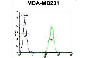IL1F6 Antibody (Center) (ABIN651427 and ABIN2840233) flow cytometric analysis of MDA-M cells (right histogram) compared to a negative control cell (left histogram). (IL36A/IL1F6 Antikörper  (AA 35-61))