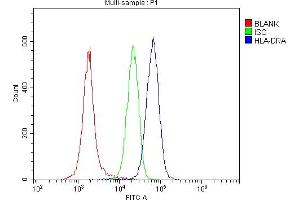 7. (HLA-DRA Antikörper  (AA 26-254))