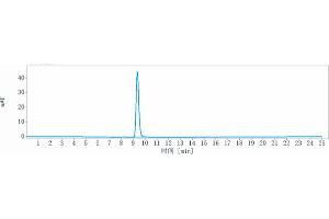 The purity of Anti-RGMA Reference Antibody (elezanumab) is 100 % , determined by SEC-HPLC.