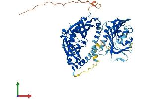 Protein Structure (PS) image for Acyl-CoA Thioesterase 11 (ACOT11) (AA 1-594) protein (His tag) (ABIN7559931)