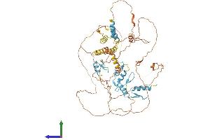 Protein Structure (PS) image for Hypermethylated in Cancer 2 (HIC2) (AA 1-615) protein (His tag) (ABIN7548284)