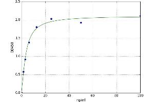 A typical standard curve (CYP2A6 ELISA Kit)