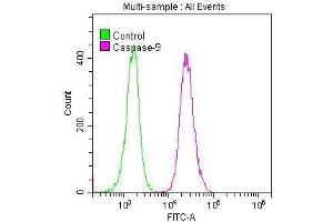 Overlay histogram showing K562 cells stained with ABIN7127382 (red line) at 1:50. (Rekombinanter Caspase 9 Antikörper)