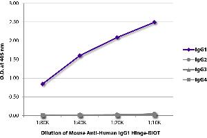 ELISA plate was coated with purified human IgG1, IgG2, IgG3, and IgG4. (Maus anti-Human IgG1 (Hinge Region) Antikörper (Biotin))