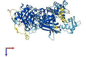 PLCD1 Protein (AA 1-756) (His tag)