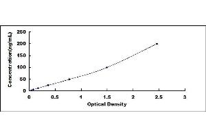 UCMA ELISA Kit