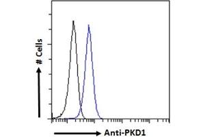 ABIN768558 Flow cytometric analysis of paraformaldehyde fixed HEK293 cells (blue line), permeabilized with 0. (PKD1 Antikörper  (AA 2281-2292))